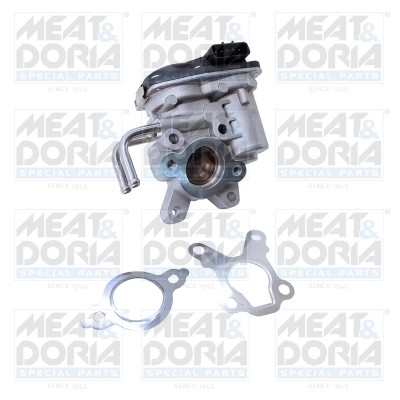 EGR Valve